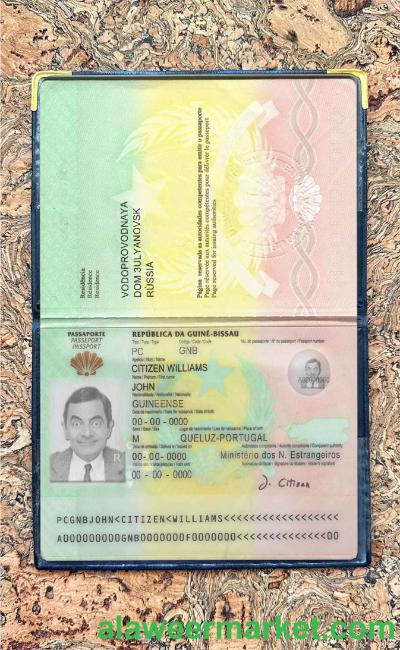 Guinea-Bissau passport photo look